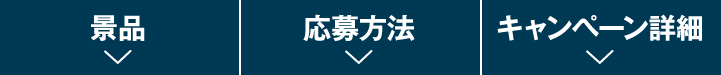景品 応募方法 キャンペーン詳細